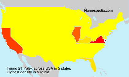 Surname Pulex in USA