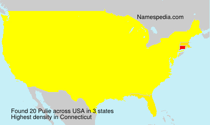 Surname Pulie in USA Surname Pulie in USA