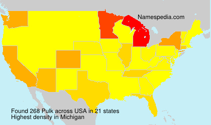 Surname Pulk in USA