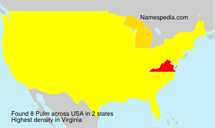 Surname Pulm in USA