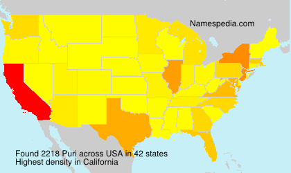 Surname Puri in USA