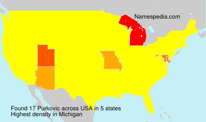 Surname Purkovic in USA