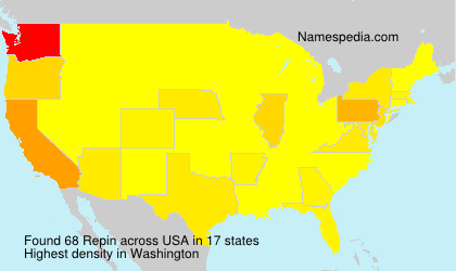 Surname Repin in USA Surname Repin in USA