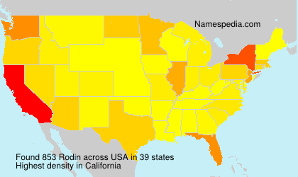 Surname Rodin in USA