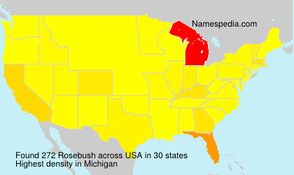 Surname Rosebush in USA