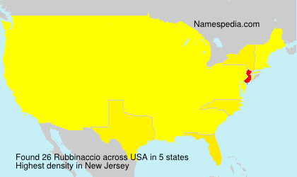 Surname Rubbinaccio in USA Surname Rubbinaccio in USA
