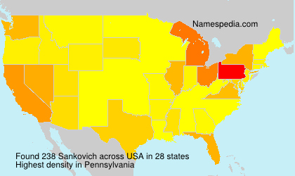 Surname Sankovich in USA