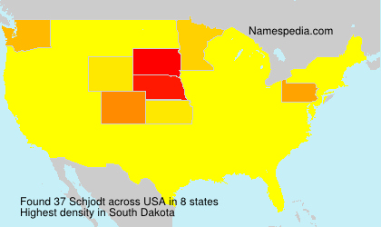 Surname Schjodt in USA