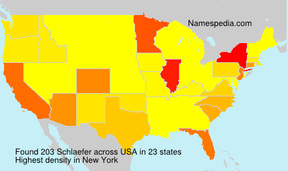 Surname Schlaefer in USA