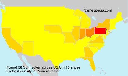 Surname Schnecker in USA