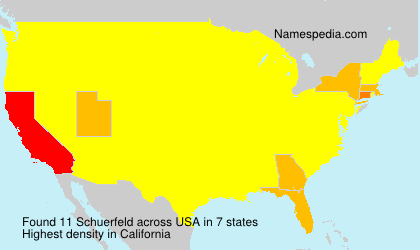 Surname Schuerfeld in USA