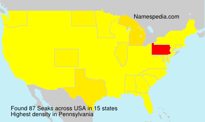Surname Seaks in USA
