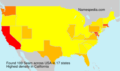 Surname Seam in USA