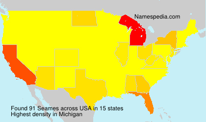 Surname Seames in USA