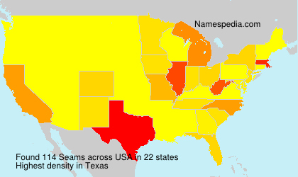 Surname Seams in USA