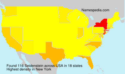 Surname Seidenstein in USA Surname Seidenstein in USA