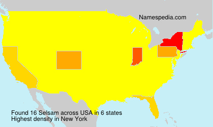 Surname Selsam in USA