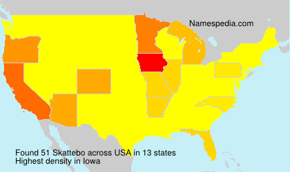 Surname Skattebo in USA