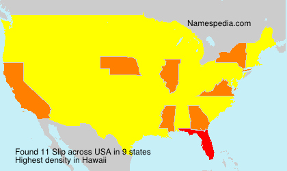 Surname Slip in USA