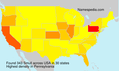 Surname Smull in USA