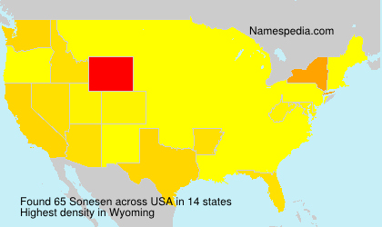 Surname Sonesen in USA