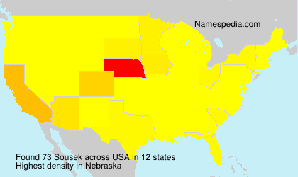 Surname Sousek in USA