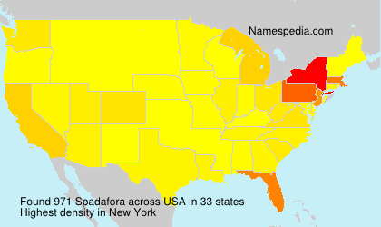 Surname Spadafora in USA