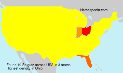 Surname Spigutz in USA