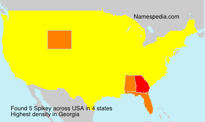 Surname Spikey in USA