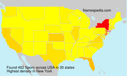 Surname Sporn in USA