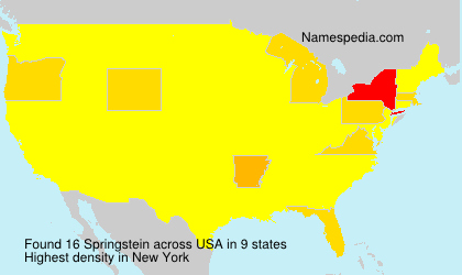 Springstein - Names Encyclopedia