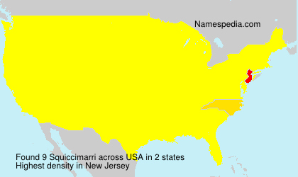 Surname Squiccimarri in USA