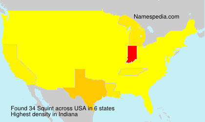 Surname Squint in USA Surname Squint in USA