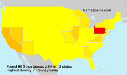 Surname Suica in USA