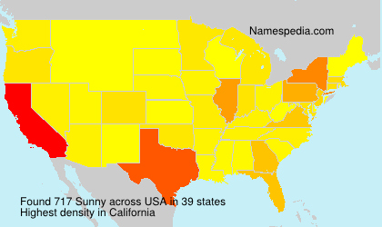 Surname Sunny in USA