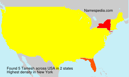 Surname Tamesh in USA
