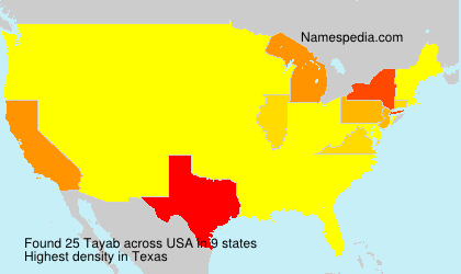 Surname Tayab in USA