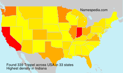 Surname Trippel in USA