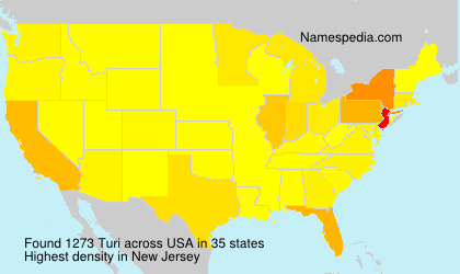 Surname Turi in USA