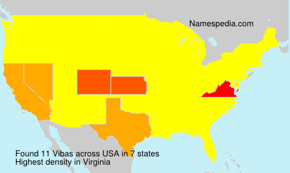 Surname Vibas in USA
