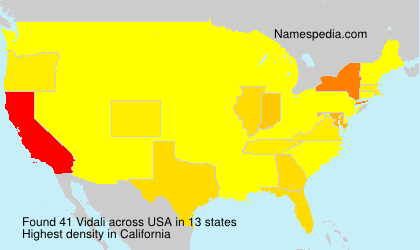 Surname Vidali in USA