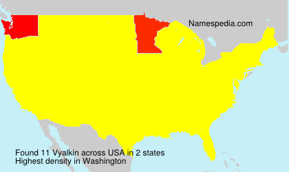Surname Vyalkin in USA