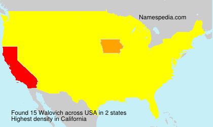 Surname Walovich in USA