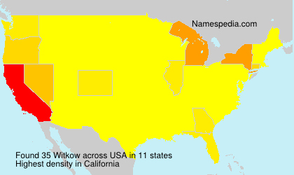 Surname Witkow in USA