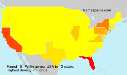 Surname Witlin in USA