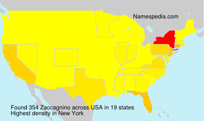 Surname Zaccagnino in USA