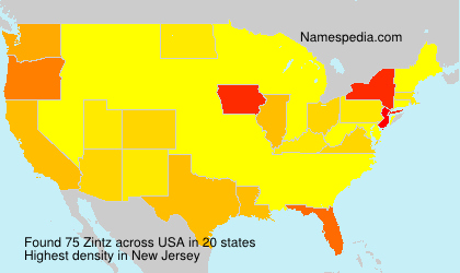 Surname Zintz in USA