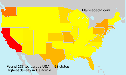 Surname tes in USA
